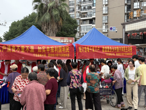 宁远县舜陵街道：普查宣传零距离 凝心聚力助农普