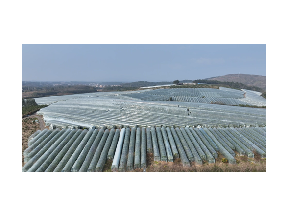 宁远：精准施策筑防线 防寒保产稳增收