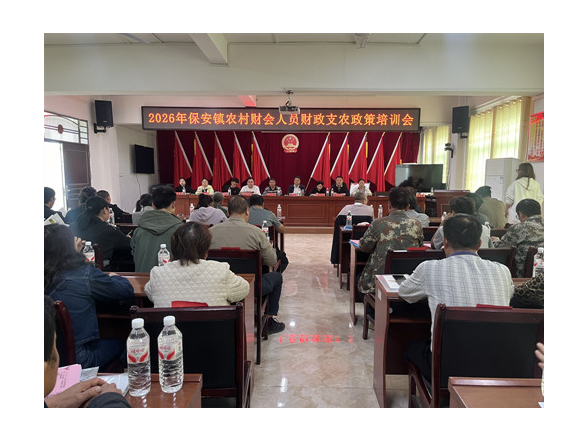 宁远县保安镇：开展村级财会人员业务培训