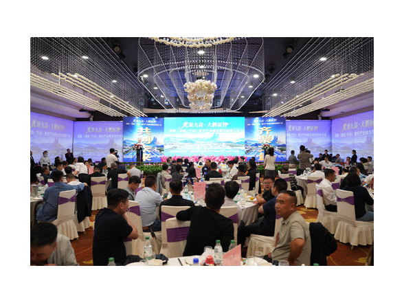 湘南激光产业峰会暨招商推介会在宁远举行 现场签约项目6个