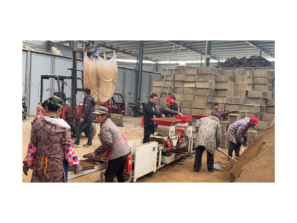 宁远县桐木漯瑶族乡：种粮大户吕清的“春耕账本”