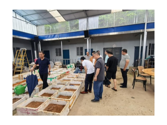 宁远：聚焦基层减负增效 以数字赋能助力乡村振兴