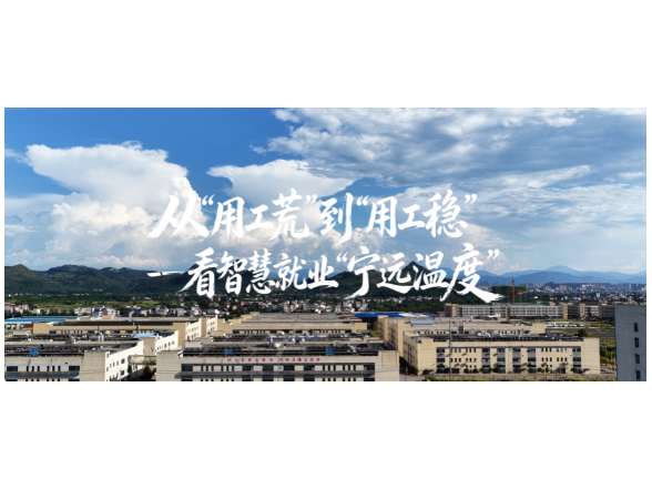 营商环境看宁远丨从“用工荒”到“用工稳”——看智慧就业“宁远温度”