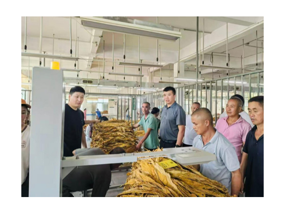 宁远县清水桥镇：烟叶收购工作全面启动