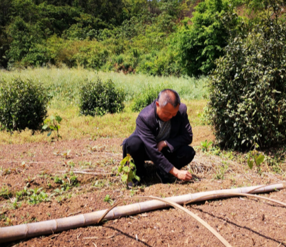 泥凼村党建引领为脱贫攻坚注入源头活水