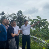 市林业局到洪家山森林公园督察安全生产工作