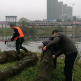 万宝镇：推动“洞庭清波”，守护一方碧水