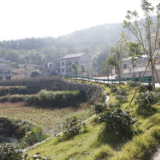 双江乡：着力打造美丽屋场，建设秀美乡村