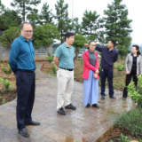 邵瑛到娄星区调研村级集体经济发展情况