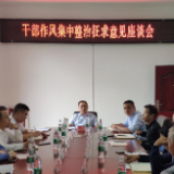 区领导到双江乡征求干部作风集中整治工作意见