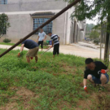 区司法局组织社区矫正对象义务劳动助力创文
