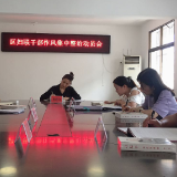 区妇联召开干部作风集中整治动员大会