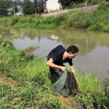 王意期：身残志坚养龙虾奔上脱贫致富路
