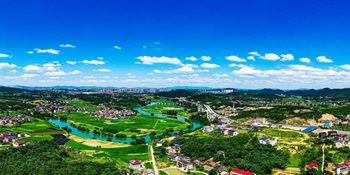 娄星区座谈种粮大户  赋能粮油产业高质量发展