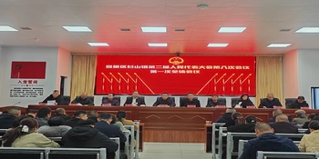 杉山镇第二届人民代表大会第八次会议召开
