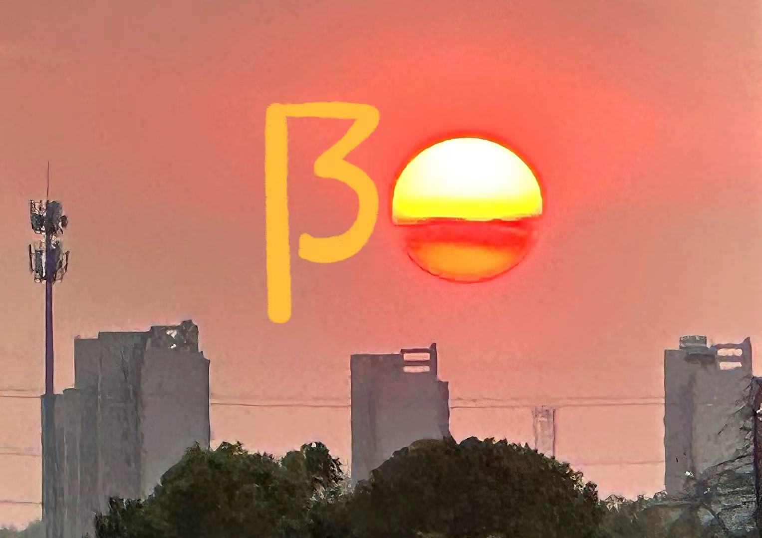 阳.jpg