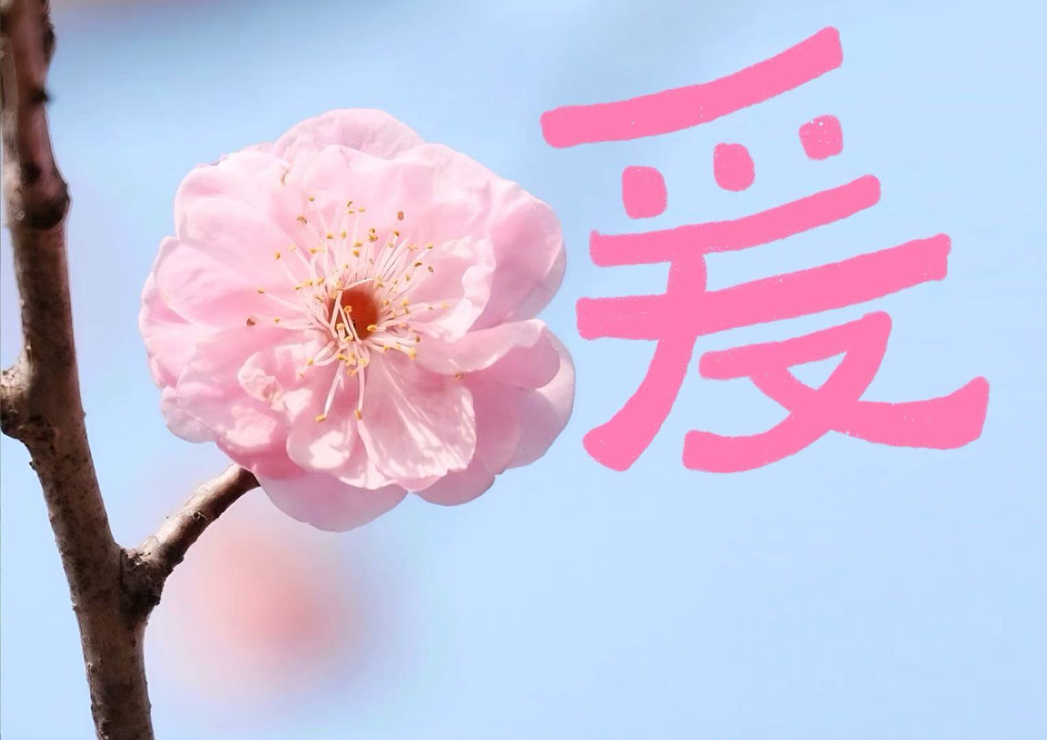 暖.jpg