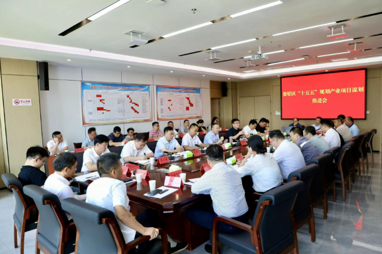 李彦文主持召开娄星区“十五五”规划产业项目谋划推进会