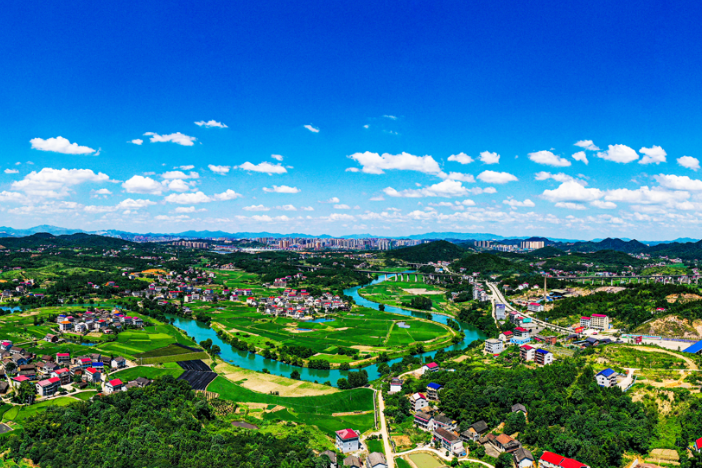 区领导深入一线宣讲党的二十届四中全会精神