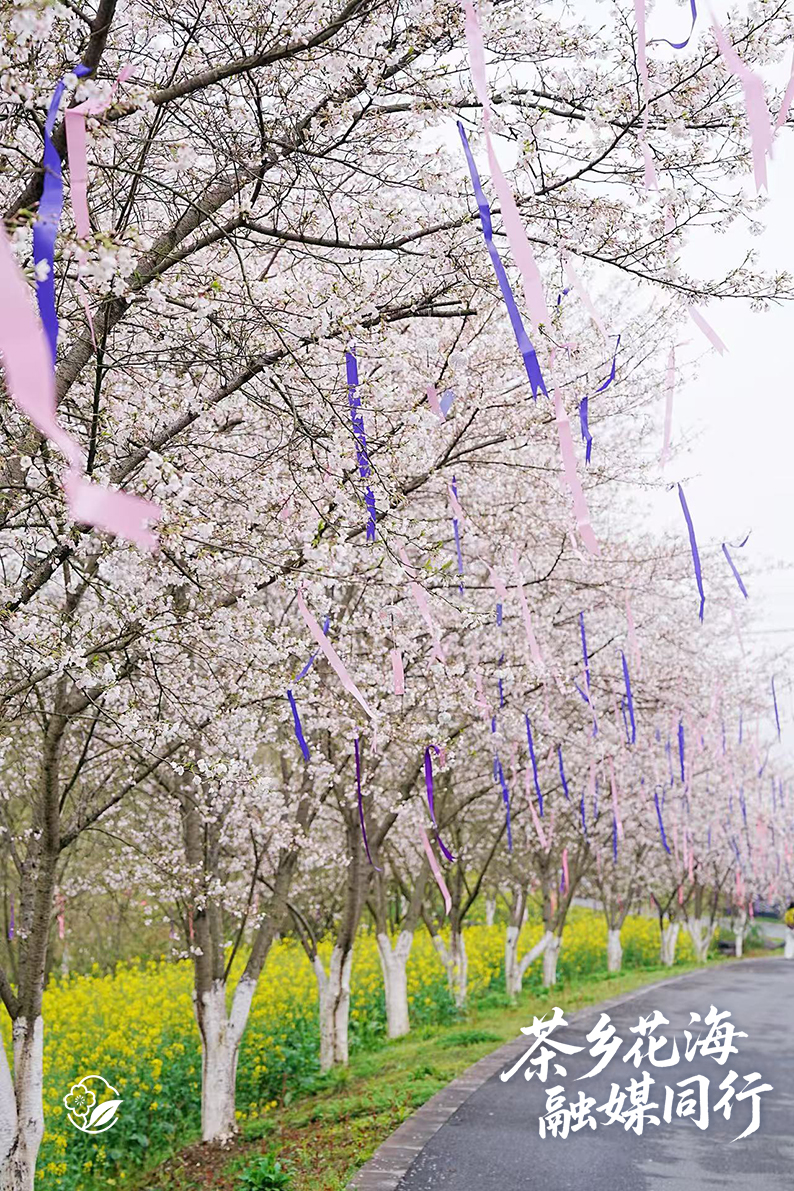 封面1.jpg 封面1.jpg