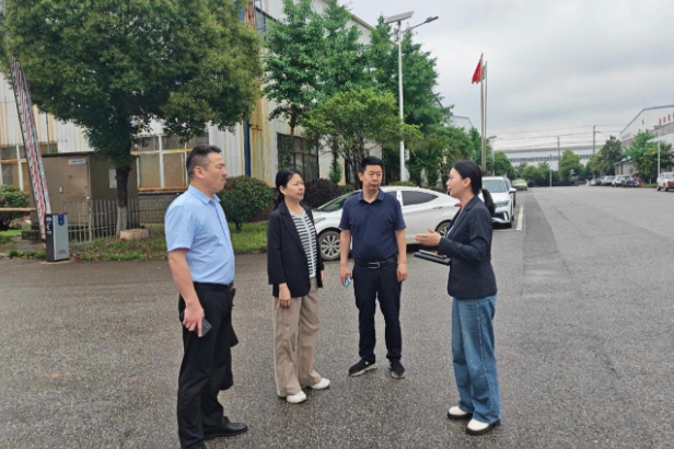 区领导到湖南科祺新材料有限公司调研