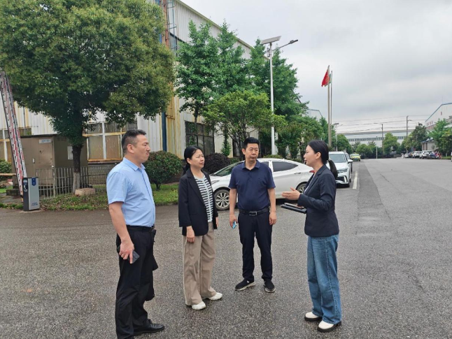区领导到湖南科祺新材料有限公司调研