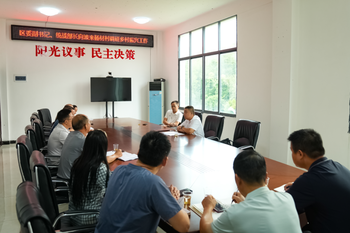 向波到水洞底镇杨材村调研乡村振兴工作