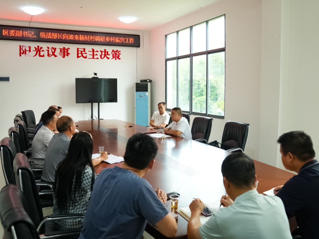 向波到水洞底镇杨材村调研乡村振兴工作