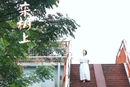 视频｜美！娄星秋天的浪漫 从栾树开始