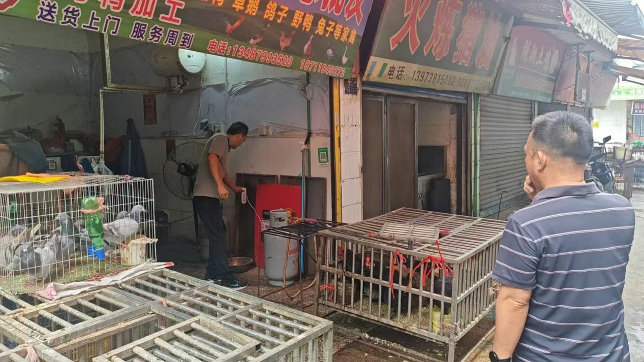 图片13.png 图片13.png