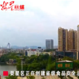 娄星城区街采丨食品安全我来说
