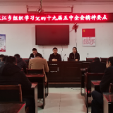 双江乡团委组织学习党的十九届五中全会精神要点