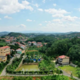 美丽乡村入画来 | 清新石塘 风景这边独好