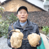 万宝槐柳村：重走“梨子路” 书写乡村振兴“槐柳”答卷