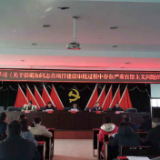 乐坪街道传达学习严重官僚主义典型案例