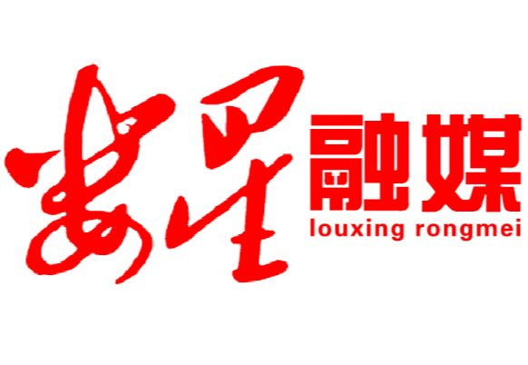 娄底市娄星区粮食局党委关于巡察整改情况的报告