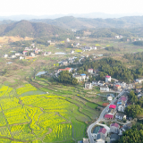 撑田村：“土地流转”转出千亩水稻种植基地