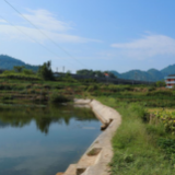 云华村：真帮实扶 画出最美“同心圆”
