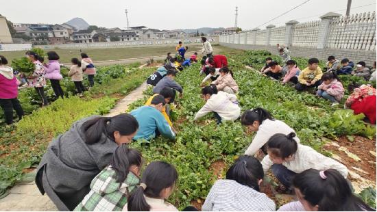 file0001.jpg file0001.jpg