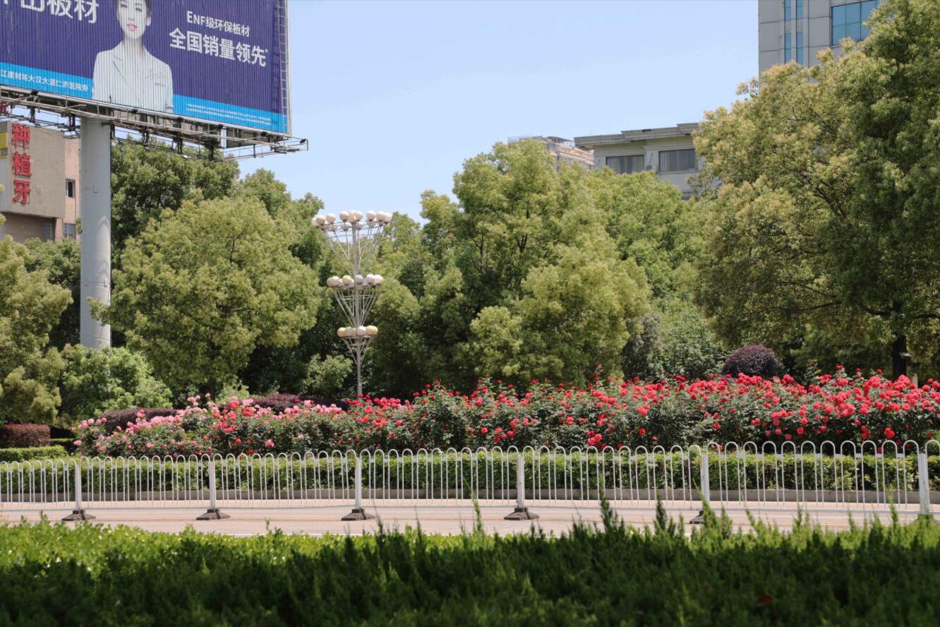 月季花荣秀美，姿色多样，深受人们的喜爱，是中国十大名花之一。
