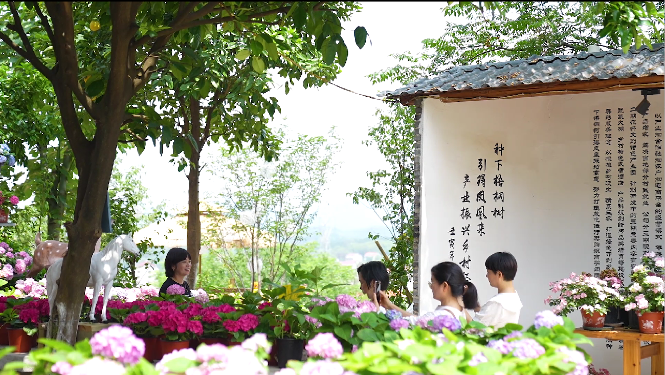 图片5.png