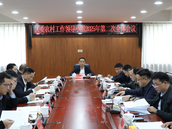 娄星区委农村工作领导小组2025年第二次全体会议召开