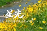 星光⑧丨高灯河畔的夏日黄金诗笺