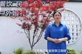 与“理”同行看娄星⑧丨相聚莫言醉农庄