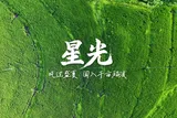 星光⑩ | 风过盛夏，闯入千亩稻浪