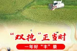 “双抢”正当时，一年好“丰”景