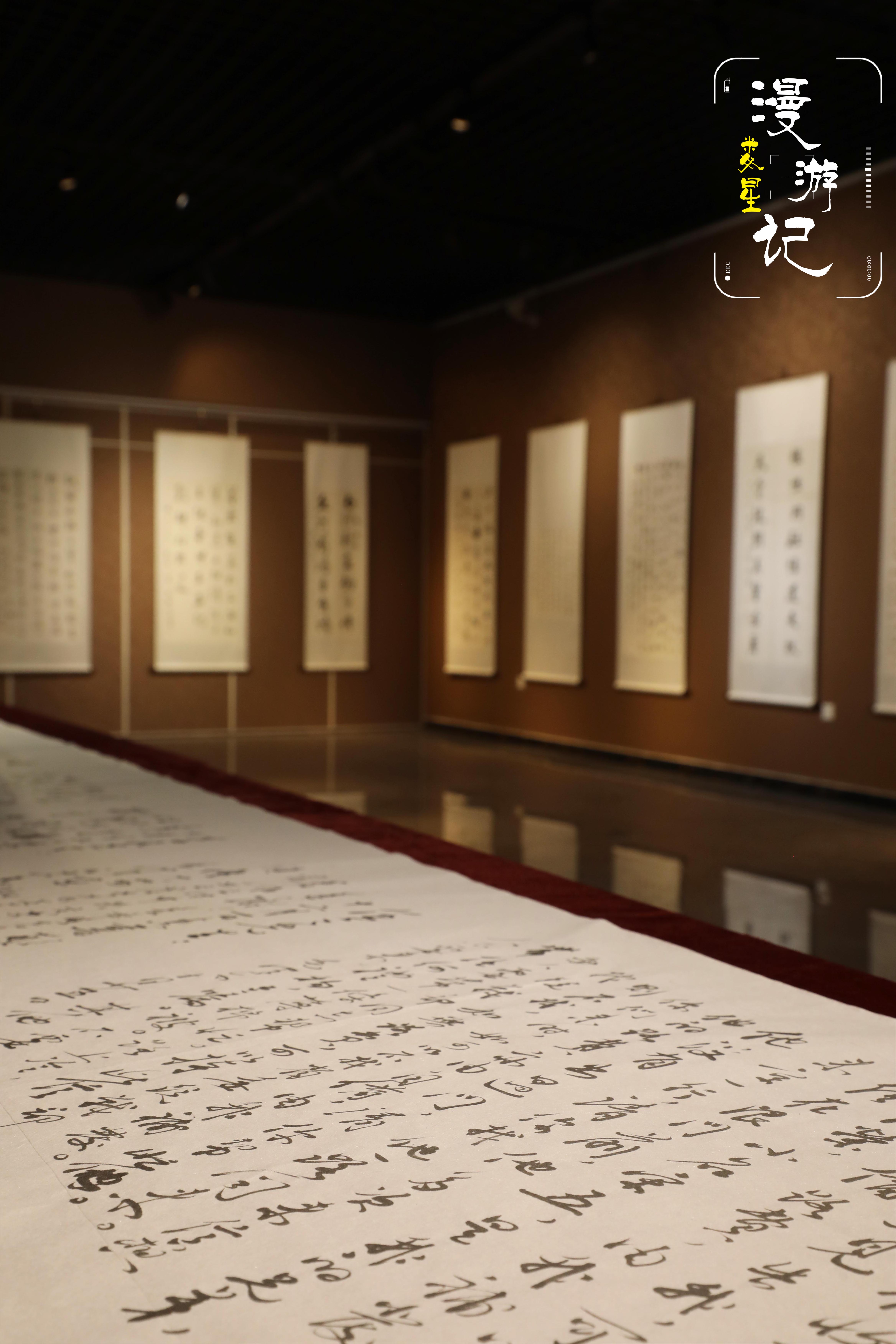 一幅幅书法卷轴静静垂立，墨色浓淡，笔画俯仰。