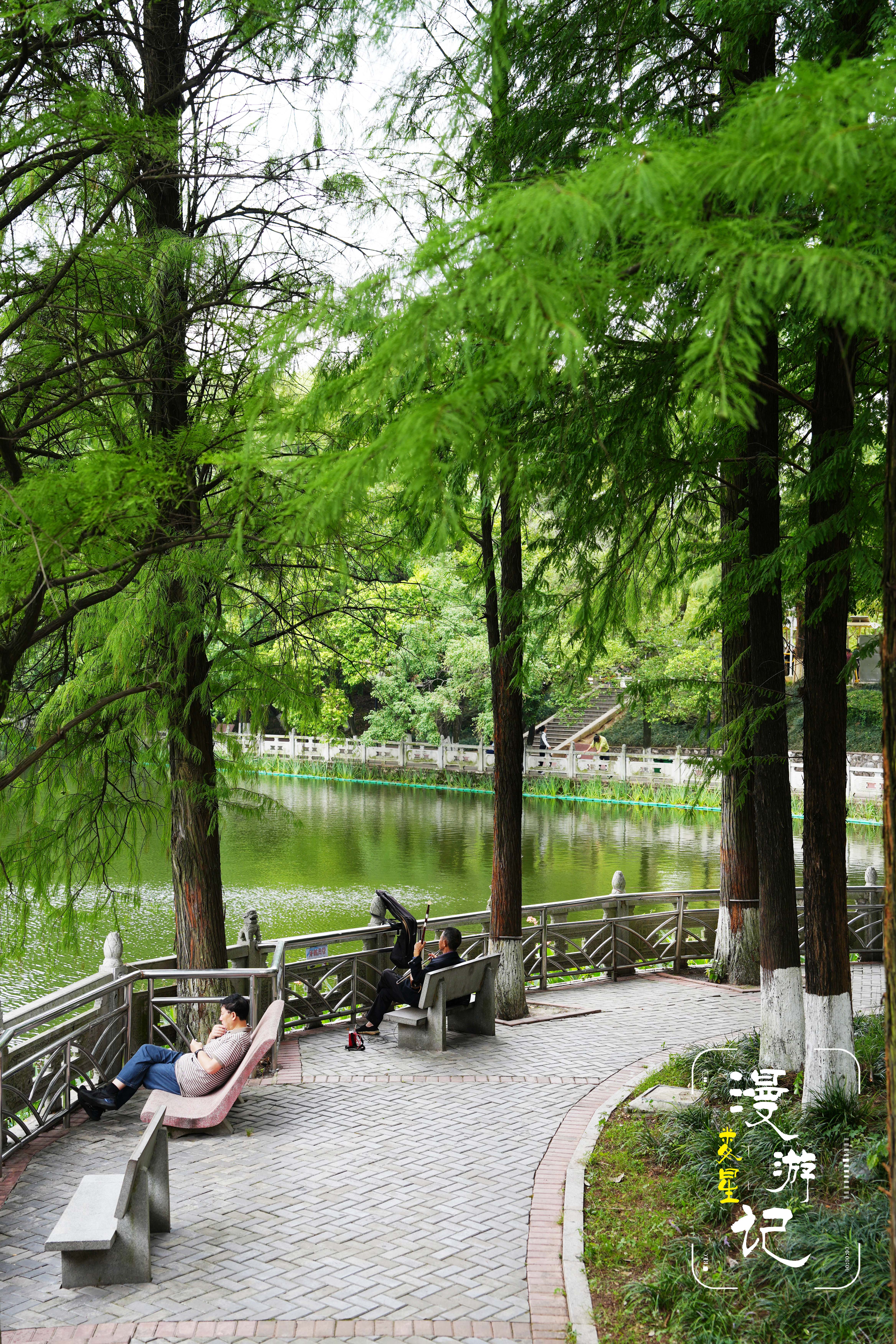 游人逛赏之余，静坐古风凉亭，吹风闲谈、驻足休憩，卸下生活疲惫，独享一方安逸闲适。