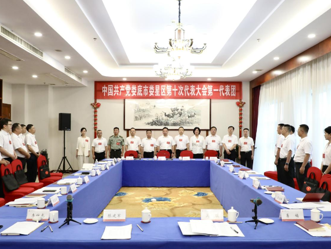 聚焦党代会 | 刘迟辉赖毅等区领导看望党代表