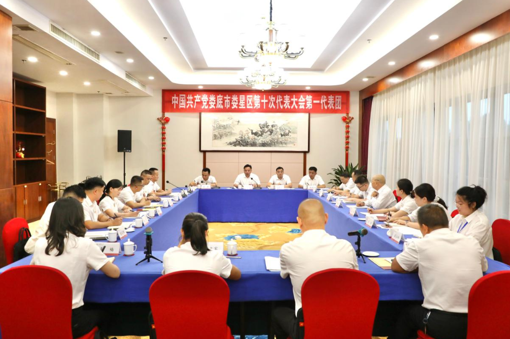 聚焦党代会 | 刘迟辉参加代表团审议：强化责任担当 努力把发展蓝图转化为美好现实